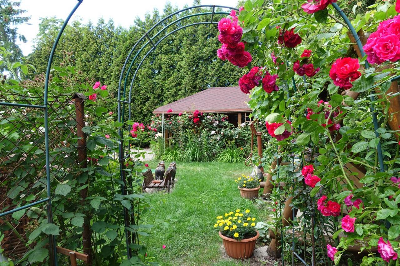 Apartament Danuta Mrągowo Zewnętrze zdjęcie